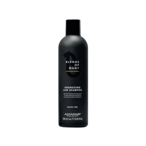 Alfaparf Blends Of Many Enerji Veren Şampuan 250 ml