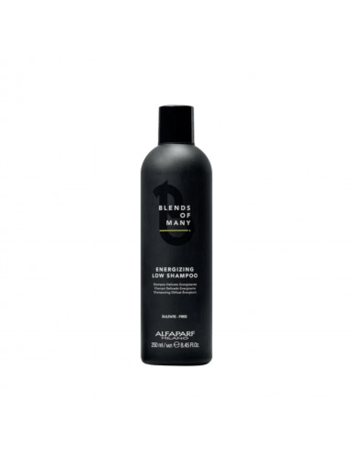 Alfaparf Blends Of Many Enerji Veren Şampuan 250 ml