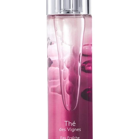 Caudalie The Des Vignes Zencefil ve Yasemin Aromalı Parfüm 50 ML